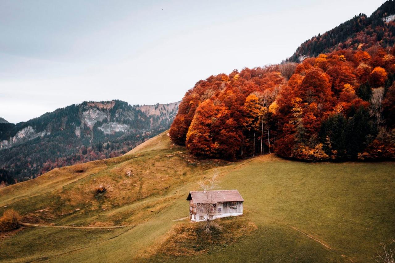Apartment Waldblick Mellau Bagian luar foto